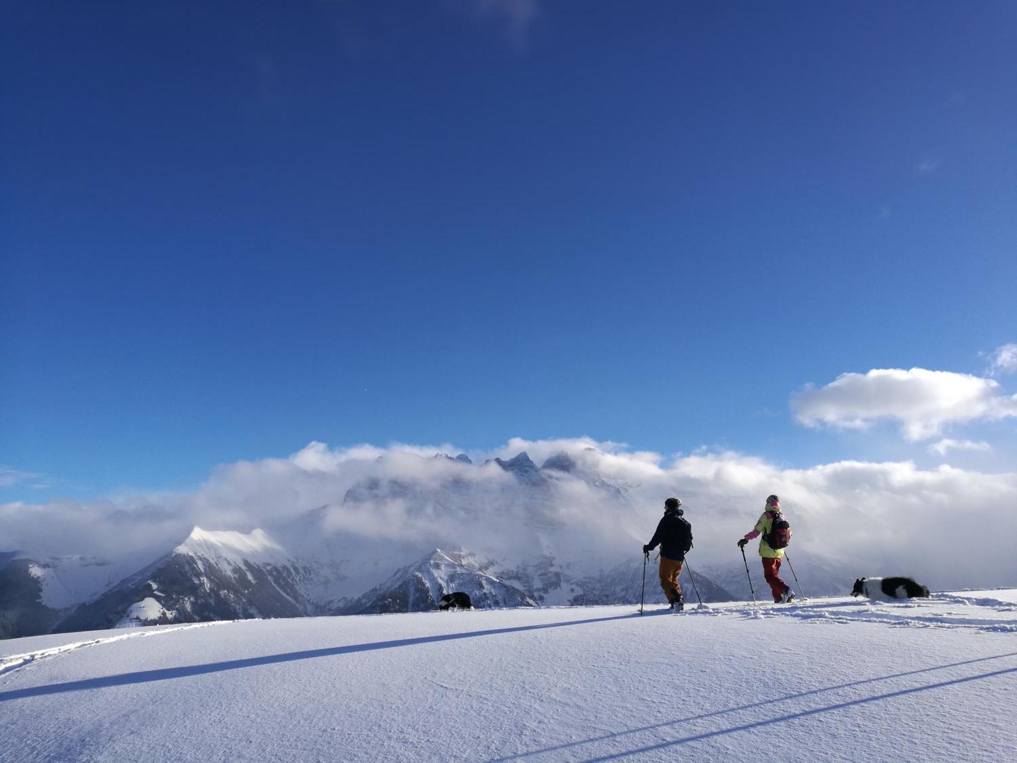 Le Roitelet Hotell Châtel Exteriör bild
