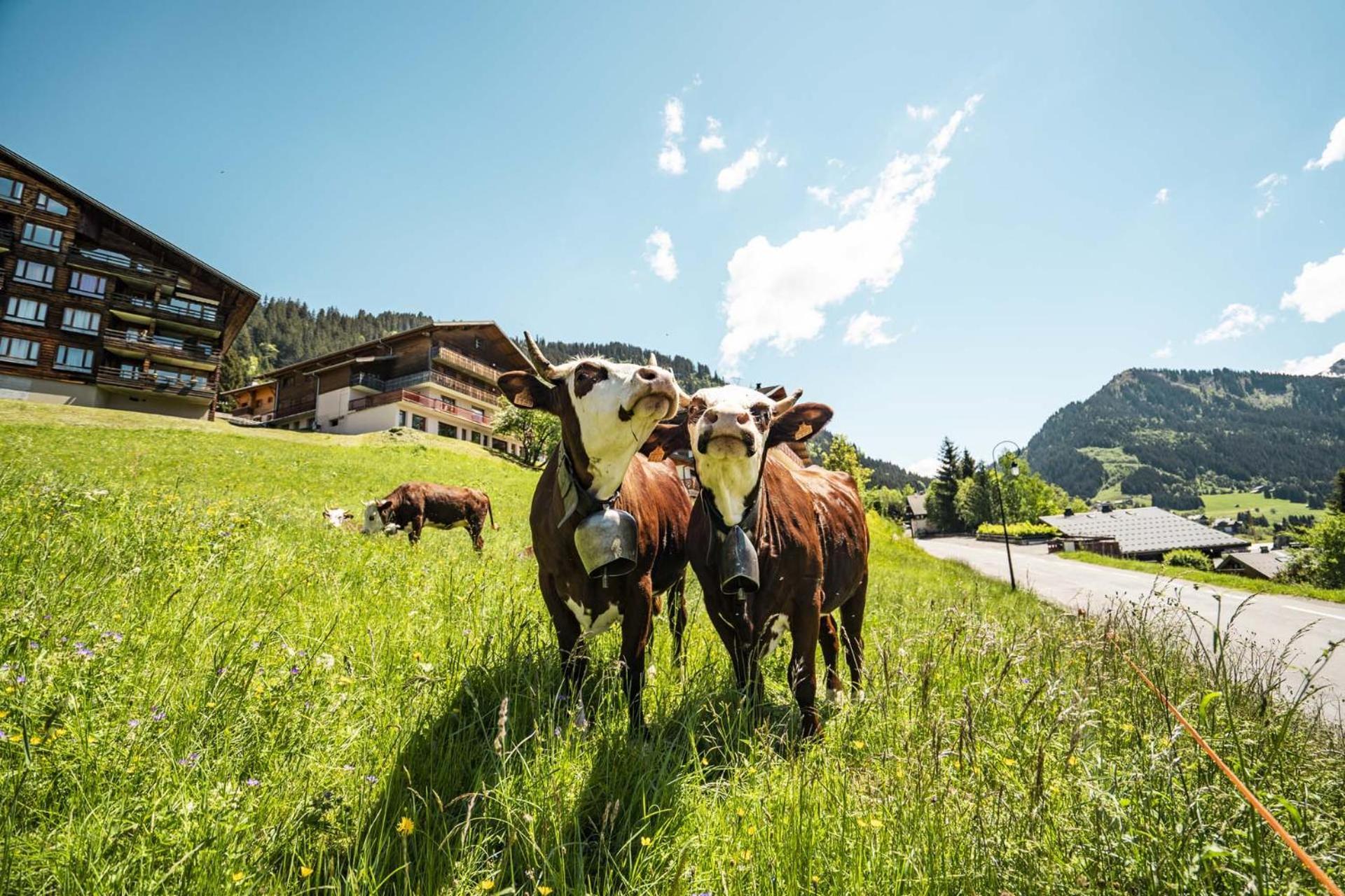 Le Roitelet Hotell Châtel Exteriör bild