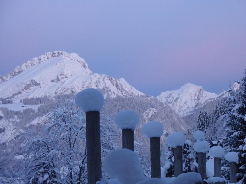 Le Roitelet Hotell Châtel Exteriör bild